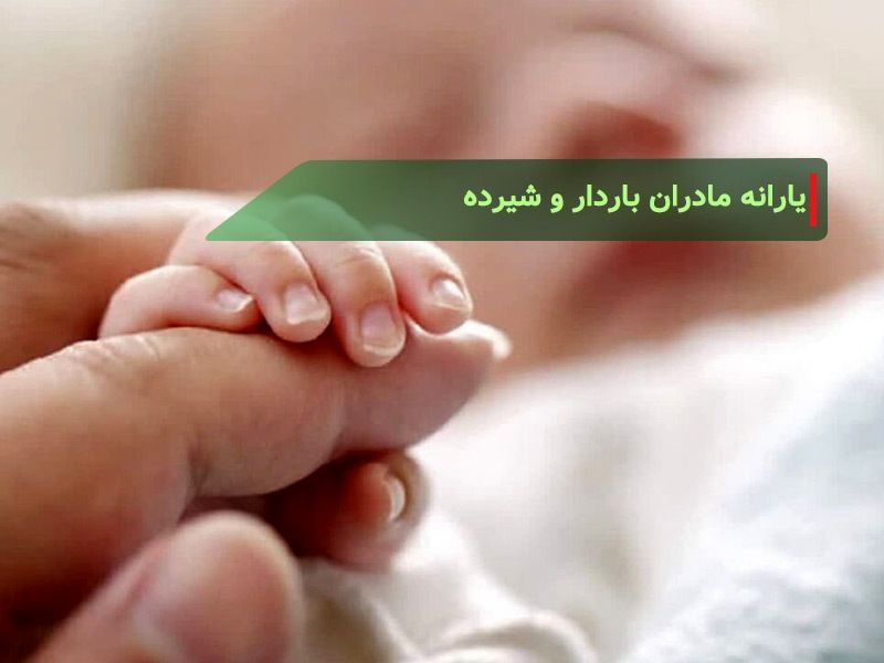 مرحله سوم طرح « یسنا» اجرا شد + جزئیات
