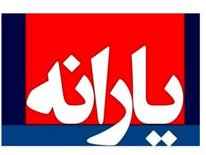 پرداخت یک یارانه خاص برای همه!