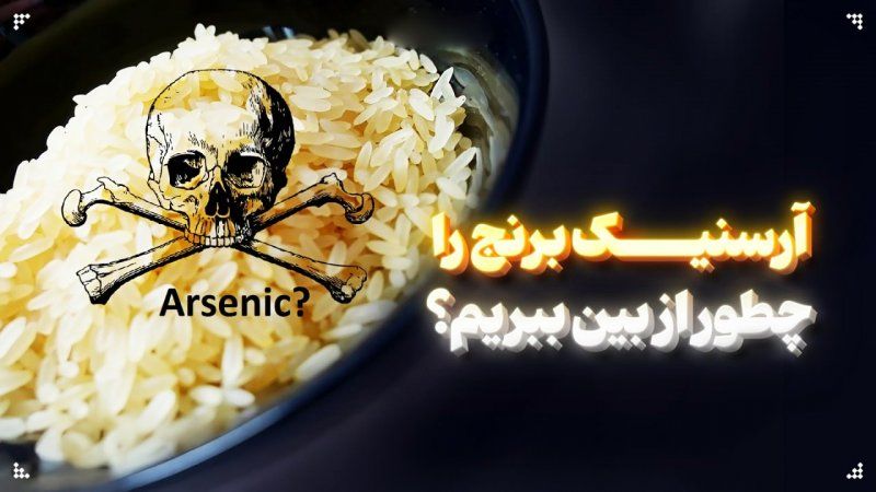 برنج آلوده نخورید/ 4 روش ساده برای کاهش آرسنیک در برنج
