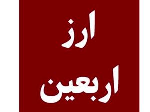 اطلاعات موردنیاز برای ثبت نام ارز اربعین